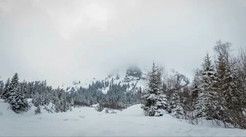 White winter forest surrounded by fog, Adelboden, Central Swtizerland Stock-Footage 35790618