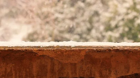 A white winter landscape Stock Footage 102563579