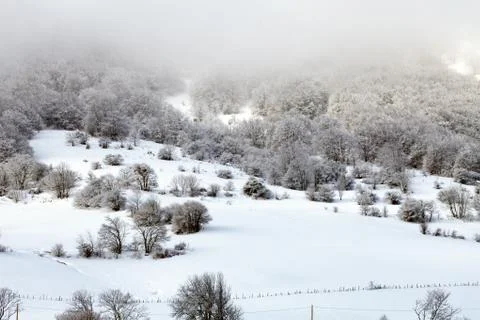 White Winter Landscape Фото