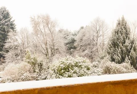 A white winter landscape Stock-Fotos