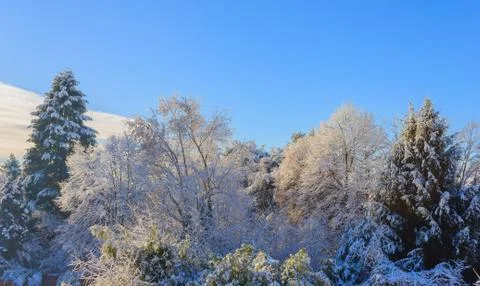 A white winter landscape Stock Photos