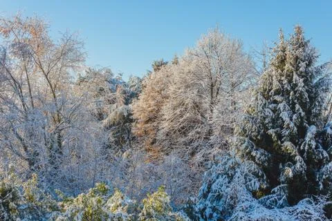 A white winter landscape Stock Photos