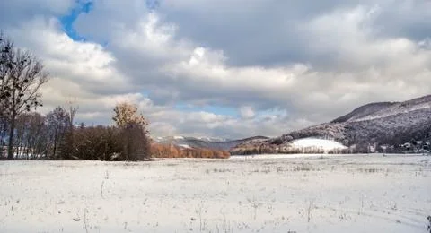 White winter landscape Stock Photos