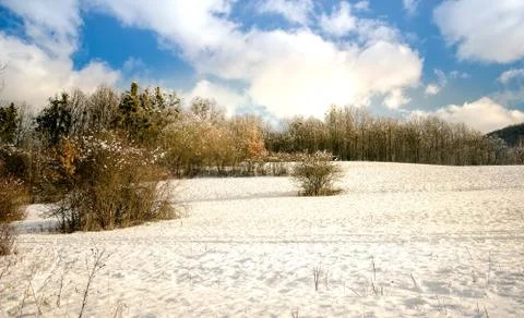 White winter landscape Stock Photos