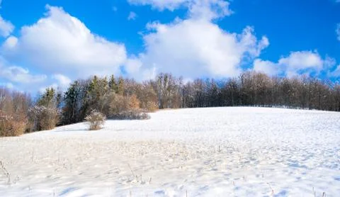 White winter landscape Stock Photos