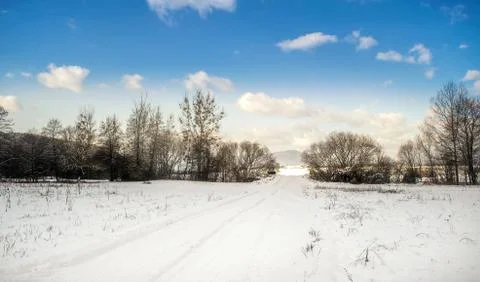 White winter landscape Stock Photos