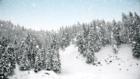 White winter landscape with snow covered plain and forest at snowfall Stock Footage 322051170