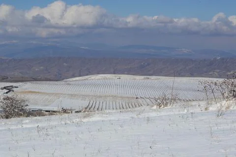 White winter snow Stock Photos