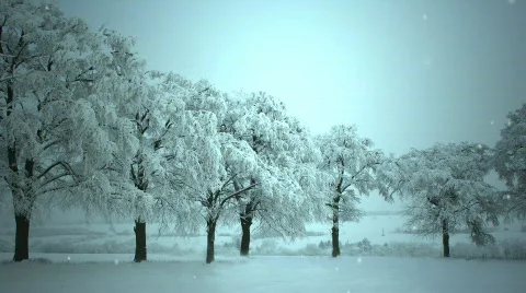 White Winter Storm Stock Footage 739768