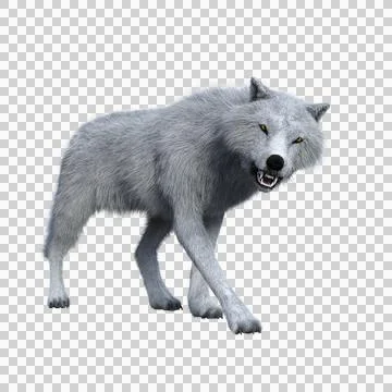 White wolf snarling aggressively. 3D illustration isolated on transparent bac Stock Illustration