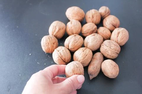 White woman's hand holding a nut in shell Stock Photos