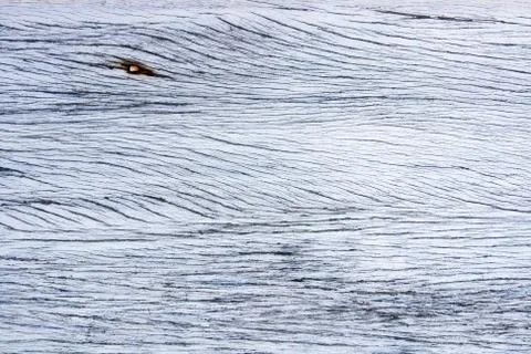 White wood background Stock Photos