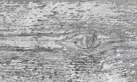 White Wood Background Texture. Close-up wood texture. Stock Photos
