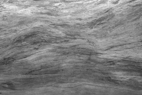 White wood pattern texture for background. Wood surface for texture design. Stock Photos