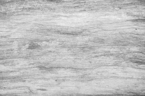 White wood pattern texture for background. Wood surface for texture design. Stock Photos