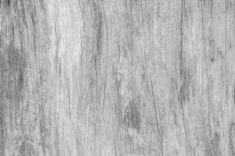 White wood pattern texture for background. Wood surface for texture design. Stock Photos