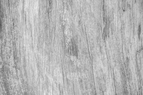 White wood pattern texture for background. Wood surface for texture design. Stock Photos