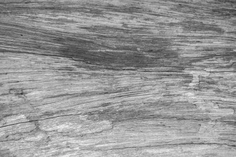 White wood pattern texture for background. Wood surface for texture design. Stock Photos