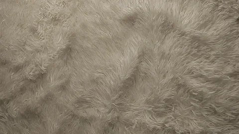 White wool background hd footage nobody Stock Footage 104294890