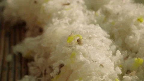 White Wool Close Up 2 库存影片 143246050