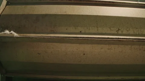 White Wool Close Up 3 Stock Footage 143245889