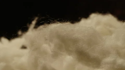 White wool extreme close up 库存影片 143254724