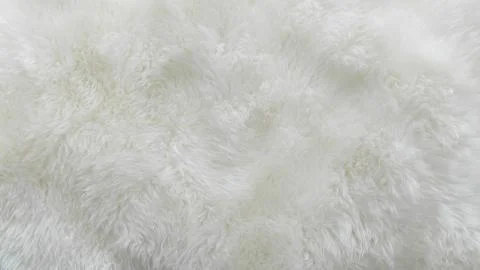 White wool texture background, cotton wool, white natural sheep wool, fur Stock Photos