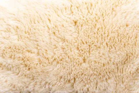 White wool texture background, light natural sheep wool, white seamless cotto Stock Photos