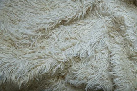 White wool with white top texture background. Cozy fur background in cream tones Photos