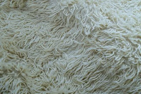 White wool with white top texture background. Cozy fur background in cream tones Foto stock