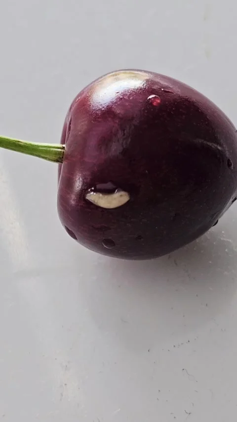 White worms crawl together into the core of ripe red cherry Stock Footage 339184904