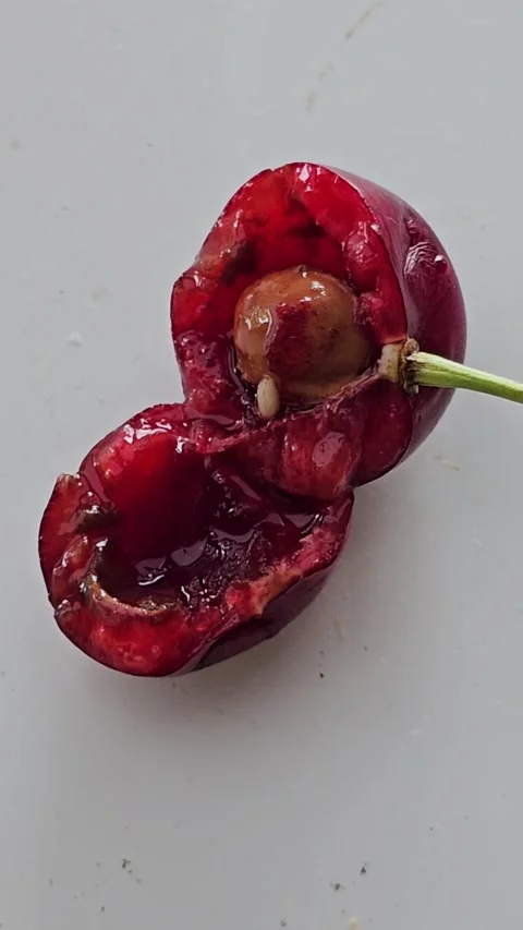 White worms crawl together into the core of ripe red cherry Stock Footage 339184945
