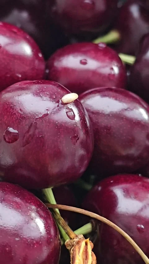 White worms crawl together into the core of ripe red cherry Stock Footage 339185006