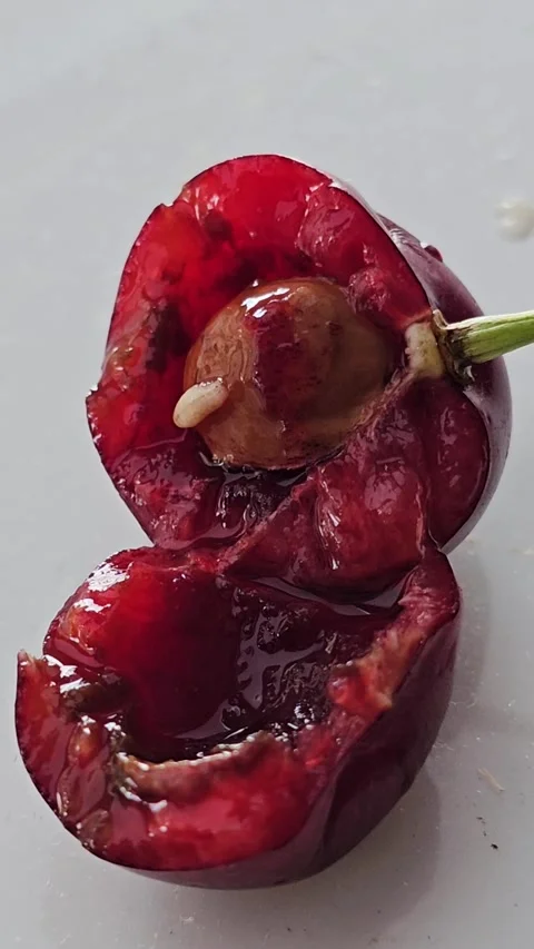 White worms crawl together into the core of ripe red cherry Stock Footage 339185019