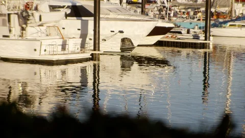 White yachts in the pier 스톡 동영상 91382776