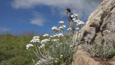 White Yarrow and guy running, Slow motion Stockbeeldmateriaal 128472743