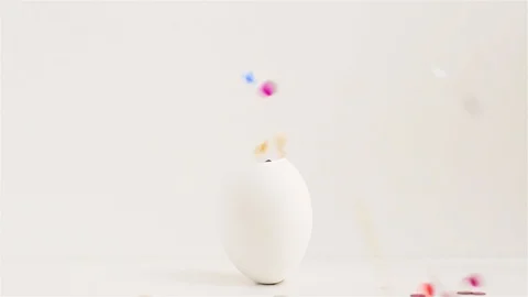 White_egg Stock Footage 127592625