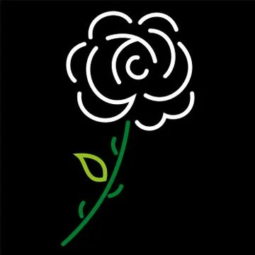 White_rose Stock Illustration