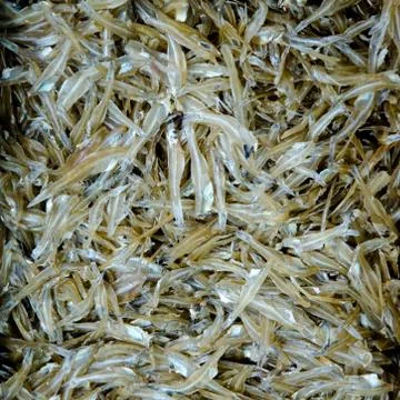 Whitebait silver fish Foto stock