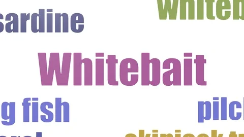 Whitebait Tag Cloud Animated Isolated On White 動画素材 103672142