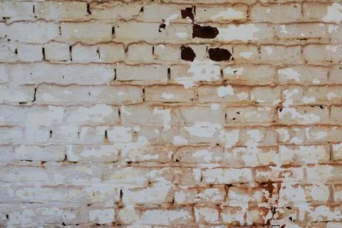 Whitebrickwall 写真素材