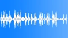 WhiteBrowed Robin Chat MC Sound Effect