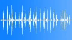 WhiteCollared Mangabey Call LondonSound Effect