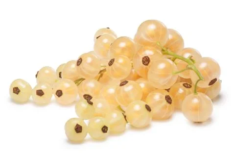 Whitecurrant bunch (Ribes Rubrum) Stock-Fotos