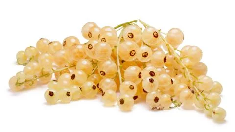 Whitecurrant bunch (Ribes Rubrum) Stock Photos