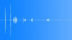 WhiteEyed Gull CU Calls Sound Effect