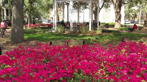 Whitefield Square Stockbeeldmateriaal 104452521