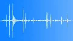 WhiteFronted BeeEater NB ExactSound Effect
