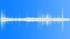 WhiteFronted Tern CU CallsSound Effect