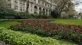 Whitehall Gardens. HD Footage